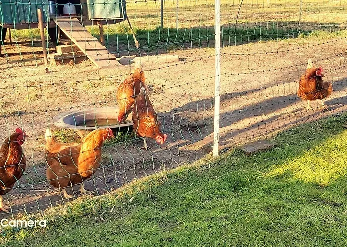 Oever De Loh By Interhome Bohmstedt